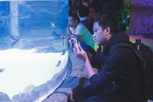iaoa-sealife iaoa-sealife